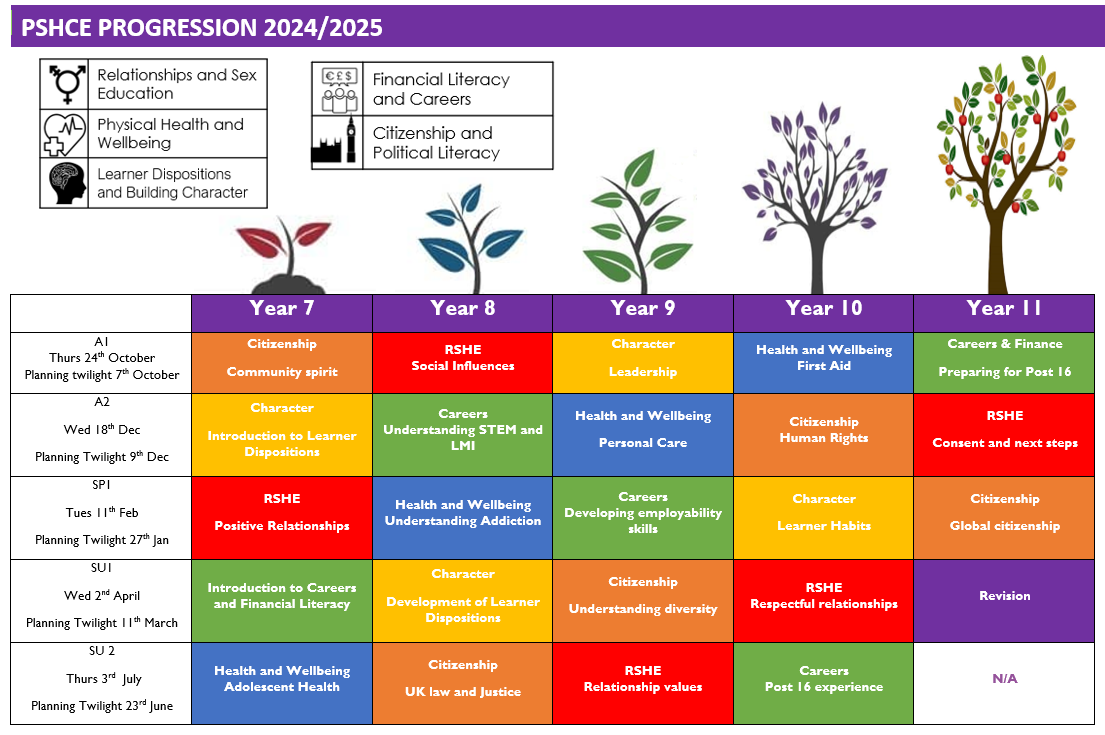 Pshce progression overview 24 25