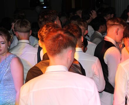IMG 8185